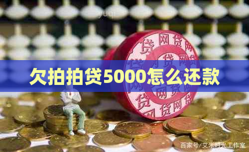 欠5000怎么还款