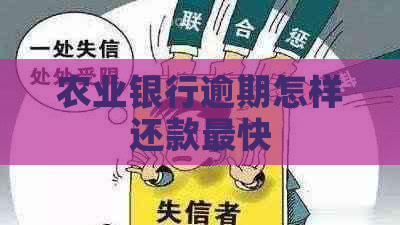 农业银行逾期怎样还款最快