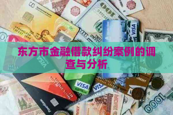 东方市金融借款纠纷案例的调查与分析