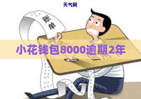 小花钱包8000逾期2年