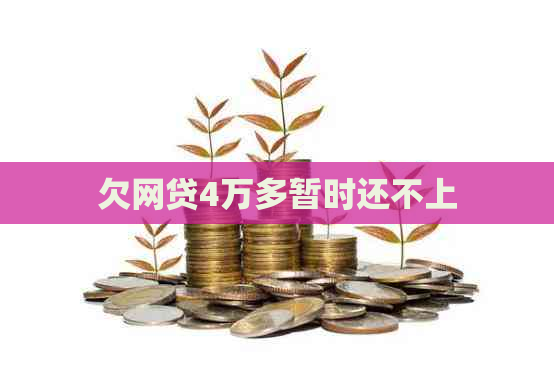 欠网贷4万多暂时还不上