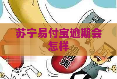 苏宁易付宝逾期会怎样