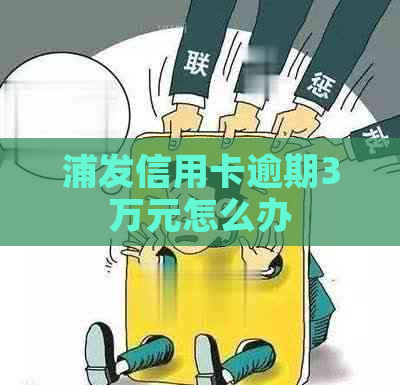 浦发信用卡逾期3万元怎么办