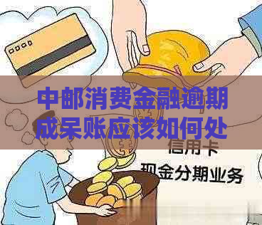 中邮消费金融逾期成呆账应该如何处理