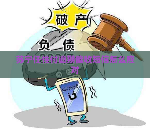 苏宁任性付逾期短信怎么应对