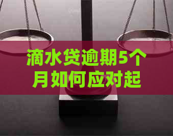 滴水贷逾期5个月如何应对起诉通知