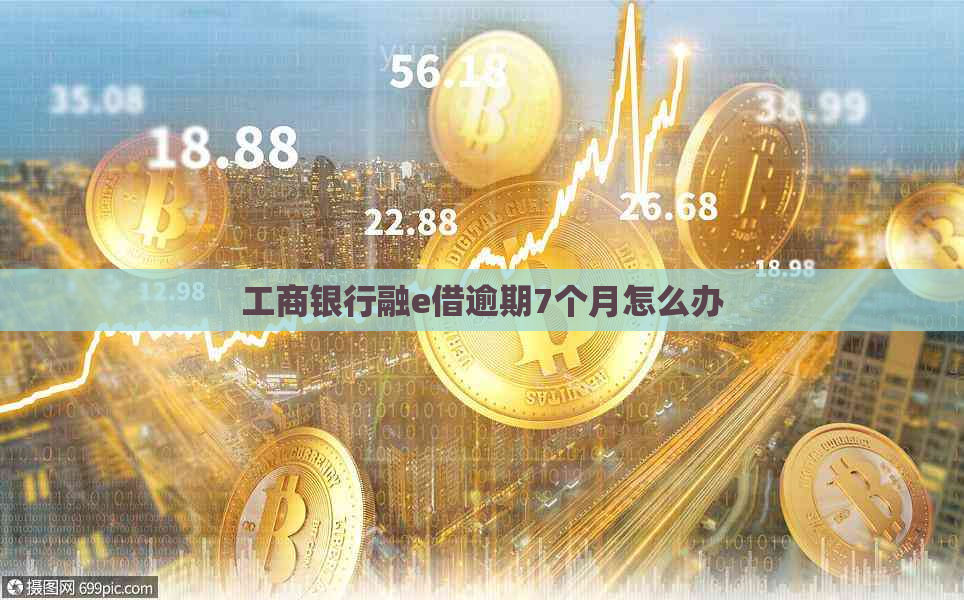 工商银行融e借逾期7个月怎么办