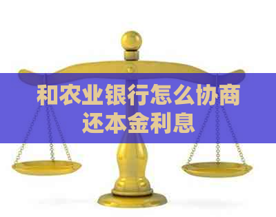 和农业银行怎么协商还本金利息