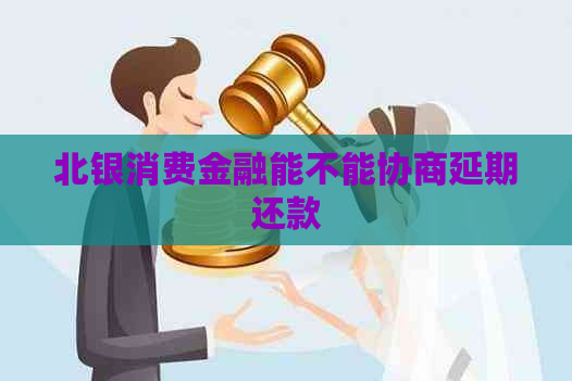 北银消费金融能不能协商延期还款