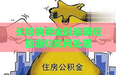 长银消费金融逾期短信通知如何处理