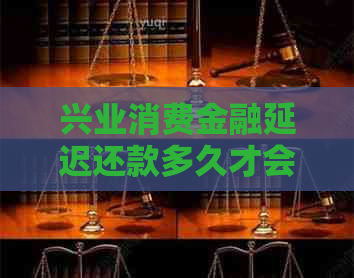 兴业消费金融延迟还款多久才会被处理