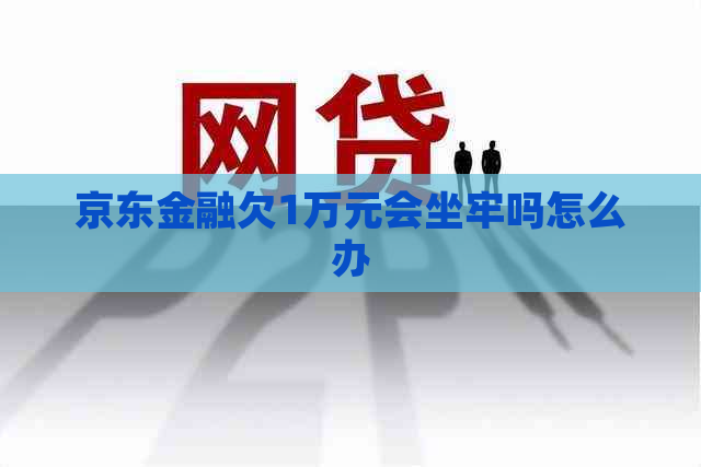 京东金融欠1万元会坐牢吗怎么办