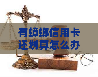 有蟑螂信用卡还划算怎么办？