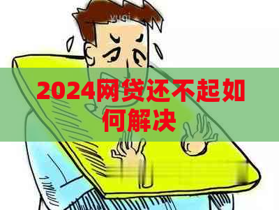 2024网贷还不起如何解决