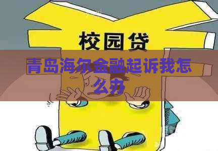 青岛海尔金融起诉我怎么办