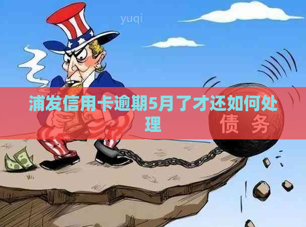 浦发信用卡逾期5月了才还如何处理