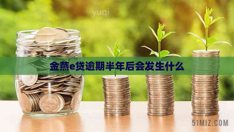 金燕e贷逾期半年后会发生什么