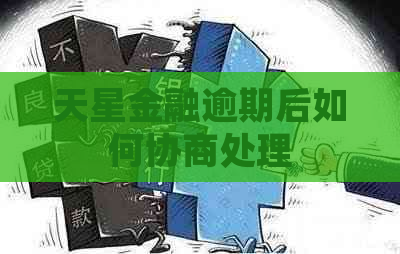 天星金融逾期后如何协商处理