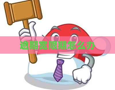 逾期宽限期怎么办