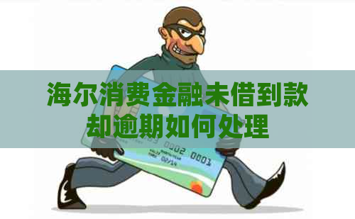 海尔消费金融未借到款却逾期如何处理