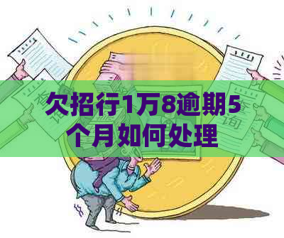 欠招行1万8逾期5个月如何处理