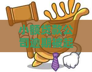 小额贷款公司逾期被起诉应该怎么应对