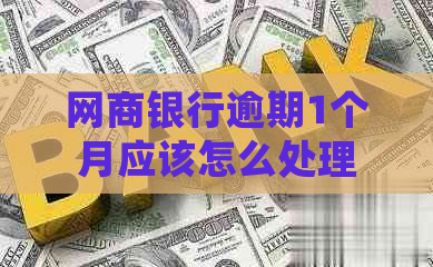 网商银行逾期1个月应该怎么处理