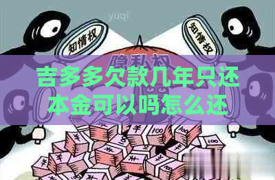 吉多多欠款几年只还本金可以吗怎么还