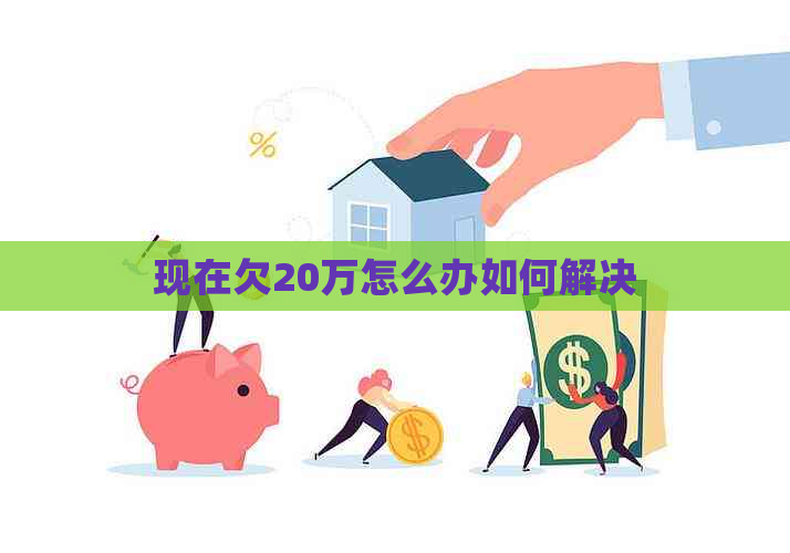 现在欠20万怎么办如何解决