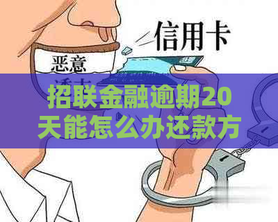 招联金融逾期20天能怎么办还款方式有哪些