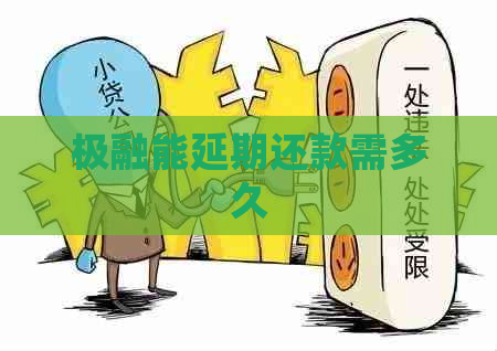 极融能延期还款需多久