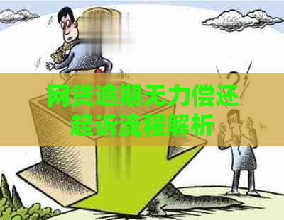 网贷逾期无力偿还起诉流程解析