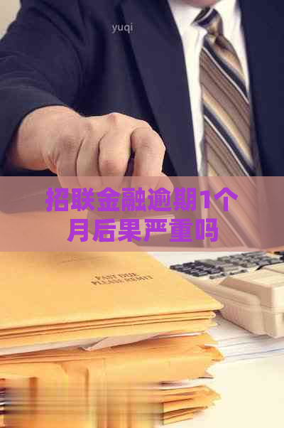 招联金融逾期1个月后果严重吗