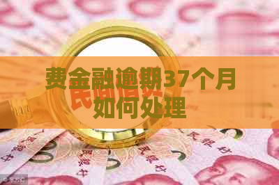 费金融逾期37个月如何处理