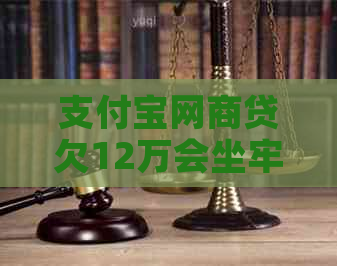 支付宝网商贷欠12万会坐牢吗该怎么办