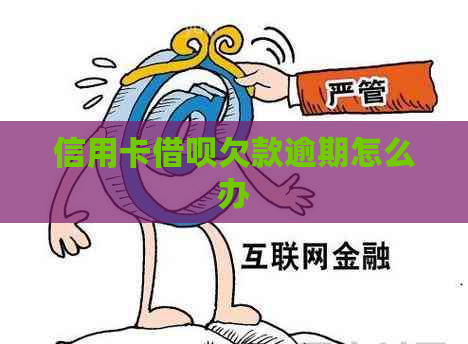 信用卡借呗欠款逾期怎么办