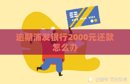 逾期浦发银行2000元还款怎么办