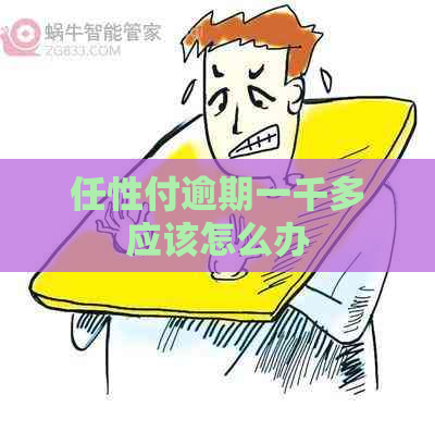 任性付逾期一千多应该怎么办