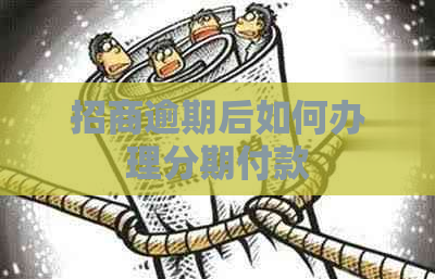 招商逾期后如何办理分期付款