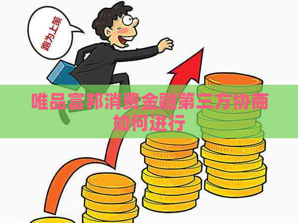 唯品富邦消费金融第三方协商如何进行