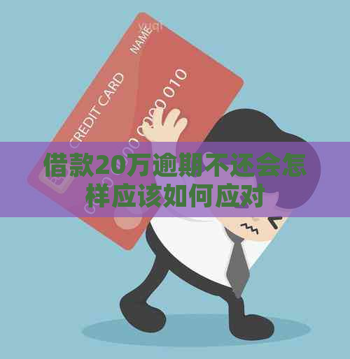 借款20万逾期不还会怎样应该如何应对