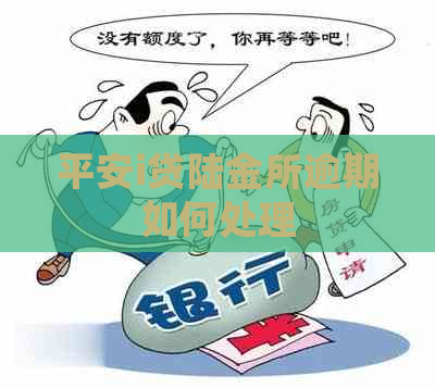 平安i贷陆金所逾期如何处理