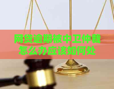 网贷逾期被中卫仲裁怎么办应该如何处理