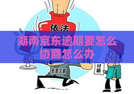 湖南京东逾期要怎么协商怎么办