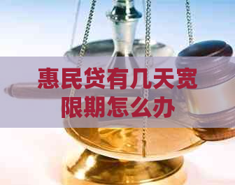 惠民贷有几天宽限期怎么办