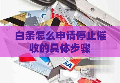 白条怎么申请停止的具体步骤