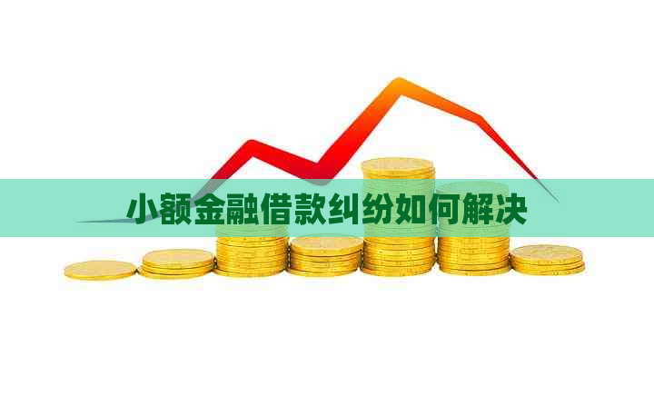 小额金融借款纠纷如何解决