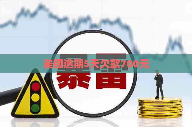 美团逾期5天欠款700元