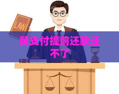 翼支付提前还款还不了