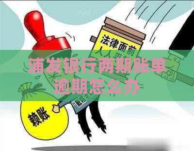 浦发银行两期账单逾期怎么办